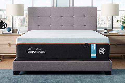 Tempur-Pedic image