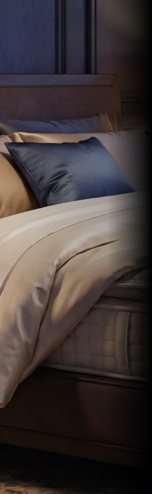 Presidents' Day Sale LHS graphic